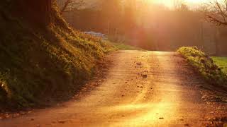 Al final del camino VICENTE CHAVEZ