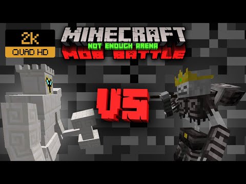 ROOK VS SKELETON KING | Minecraft Mob Battle