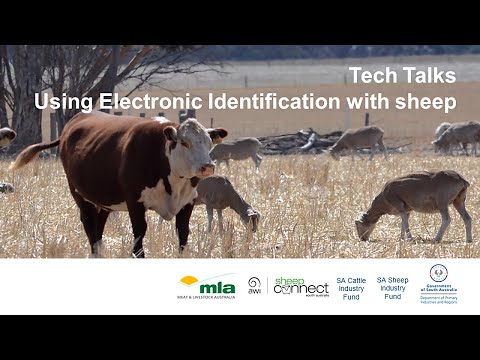 , title : 'Menggunakan Electronic Identification (eID) dengan domba'
