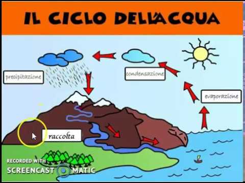 IL CICLO DELL'ACQUA