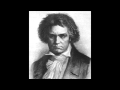 Ludwig van Beethoven: Symphony No. 8 in F Major, Mvt 2 "Allegretto scherzando"