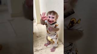 Download lagu Wow!!! The monkey is so cute mp3