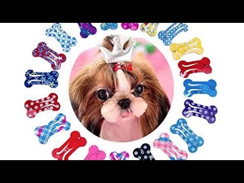 Top 10 Dog Hair Accessories You Can Buy  June 2023