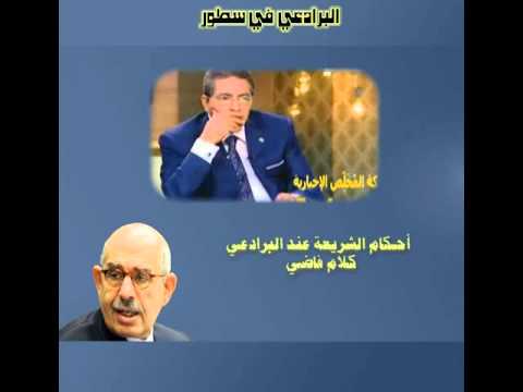 فضائح البرادعي - رئيس الحكومة المصرية الجديد