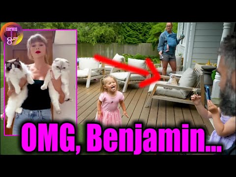 Kylie's Girls Take Taylor Swift's Cat Home After Winning Cat Fight With Jason Kelce