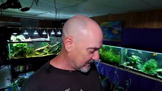 Friday Night Fish N Hits