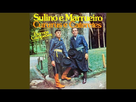 Se o Passado Voltasse