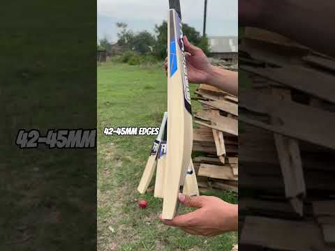 Worlds Best Kashmir Willow Bats by Tramboo Sports | Alpine Edition | ₹3,499 only