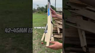 Worlds Best Kashmir Willow Bats by Tramboo Sports | Alpine Edition | ₹3,499 only