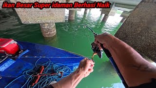 Download lagu Luar Biasa Menegangkan Detik Detik Takluknya ikan Besar Dengan Cara Tidak Wajar mp3