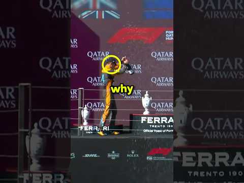 Why Formula 1 Fans Are Hating On Lando ?