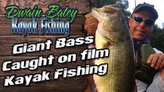Giant Bass caught on film kayak fishing