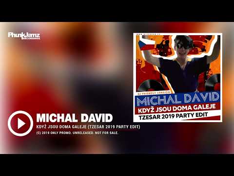 Michal David - Když jsou doma galeje (TZESAR 2019 Party Remix)