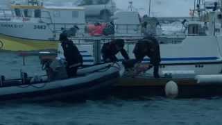 Trailer VO