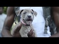 4Nickk Pain Official Music Video