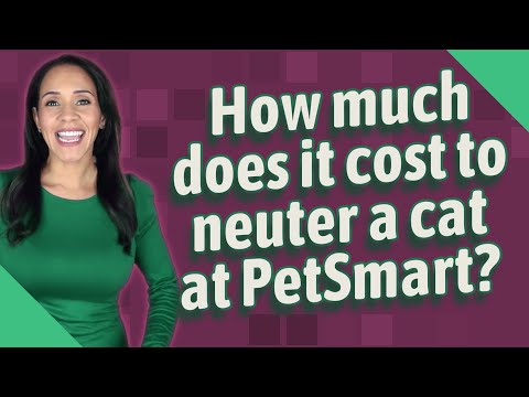 How much does it cost to neuter a cat at PetSmart?