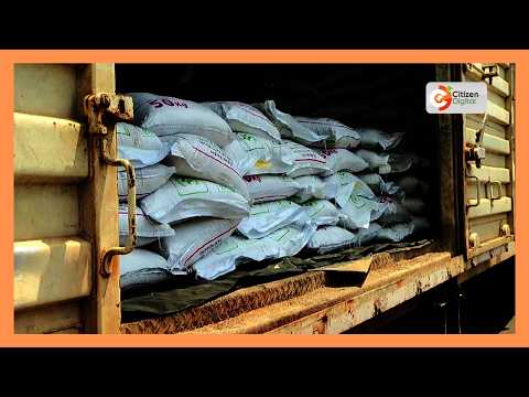 Fertiliser shortage threatens Kenya’s food security