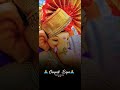 Ganpati Aayo Bapa Riddhi Siddhi Layo Whatsapp Status Shortvideo Oldisgold 4k Youtube