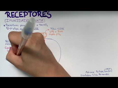 Immunology- Main receptors of innate immunity