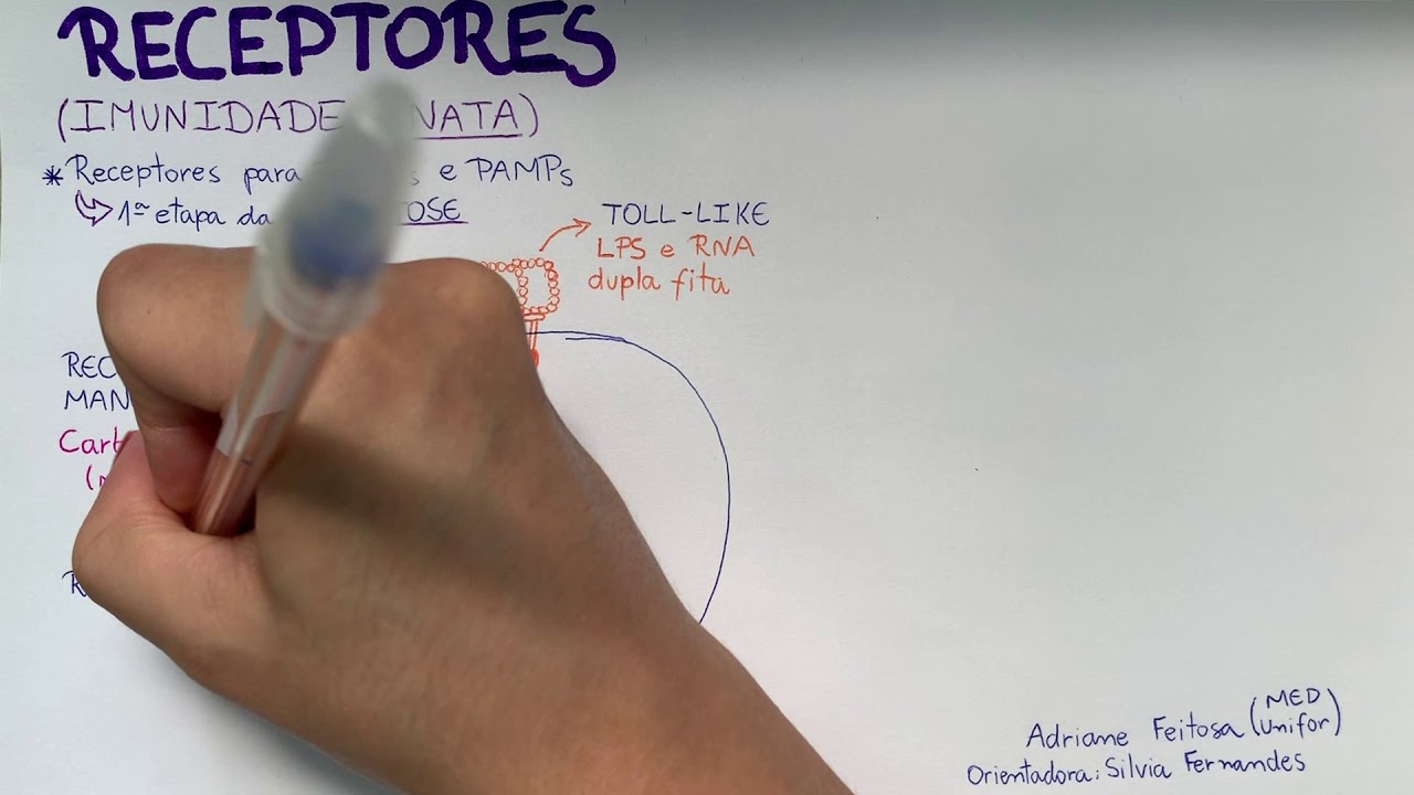 Imunologia- Principais receptores da imunidade inata