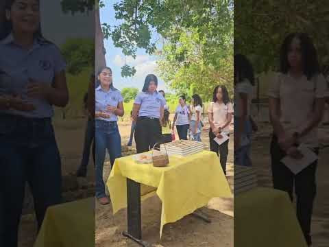 Visita ao IFMA - São Raimundo das Mangabeiras, MA