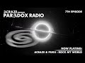 ACRAZE PARADOX RADIO 007