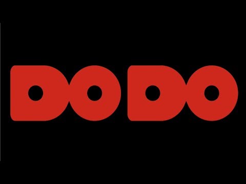 DODO medley