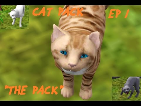 Cat Pack Episode 1 - (Sims 3 pets story)