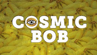 La Banane - Cosmic Bob