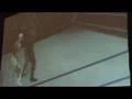 RAW VS SMackdown 2008 Some Fighting Styles