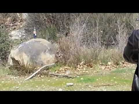 44 mag 310gn Garrett Ammo hammerhead