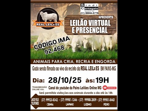 134º Leilão Virtual - Real Leilões - Pains MG