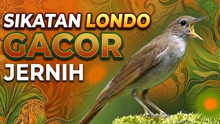 Download lagu SIKATAN LONDO GACOR JERNIH NEMBAK DURASI mp3