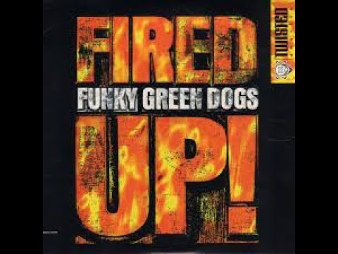 Funky Green Dogs - Fired Up (2023) - Dj Ari Exclusive  Mashup