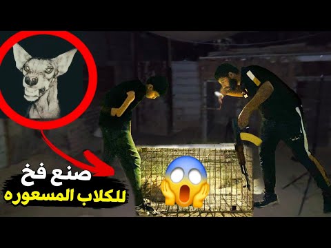 يوم كامل مع صيد الكلاب المتوحشة🐕 داخل مزرعتي😭
