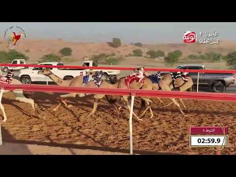  ش 8 (الشادن) لـ محمد عبيد النعيمي 4:44 , شارة الديوان 2 2026/09/25 حقايق اللبسه  