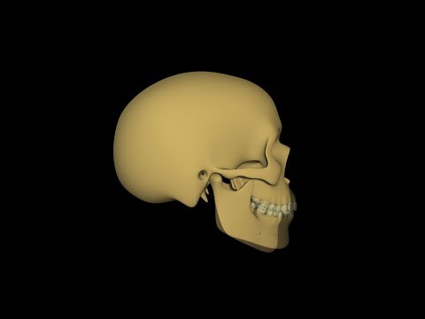 Poor Growth Caused by Mouth Breathing