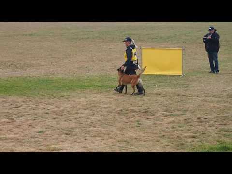 Vigie de Alphaville Bohemia