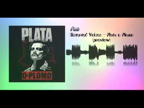 Disterted Voices  - Plata o Plomo (preview)