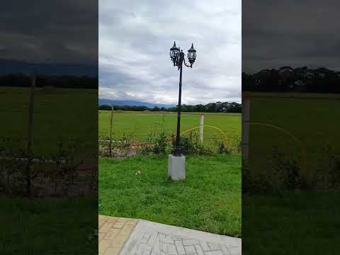 Guamal meta, es Colombia ...