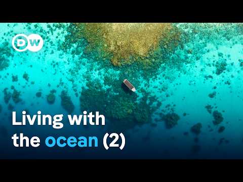 Treasure Islands In The Pacific -From The Chatham Islands To Enewetak (2/2) | Dw Documentary