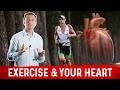 Endurance Exercise Can Damage Your Heart