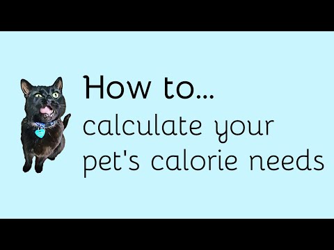 How to calculate your pet's calorie needs