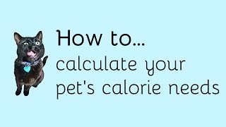 How to calculate your pet