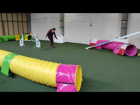 B.Fly Agility Team - február