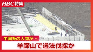 [情報] 羊蹄山被中國人濫墾了