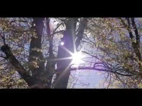 Alex M.O.R.P.H. feat Natalie Gioia - The Reason (Original Mix)