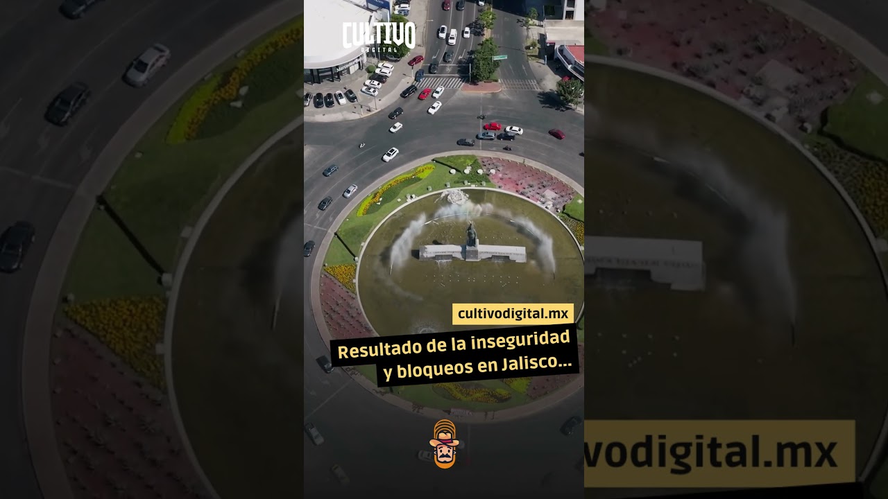 ¿Por qué el jitomate está tan caro en Jalisco?