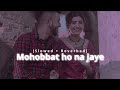 Mohobbat Ho Na Jaye Slowed Reverbed