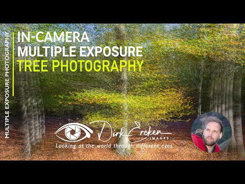 Coming soon Multiple exposure tree photography masterclass